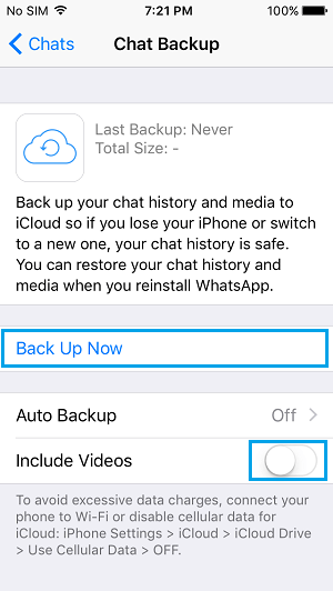 手动将 iPhone 上的 WhatsApp 消息备份到 iCloud Drive