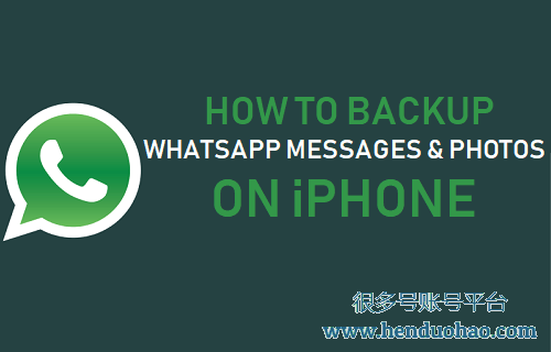 在 iPhone 上备份 WhatsApp 消息和照片