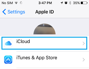 iPhone 上的 iCloud 设置选项